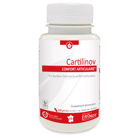 CARTILINOV - 120 Gel.