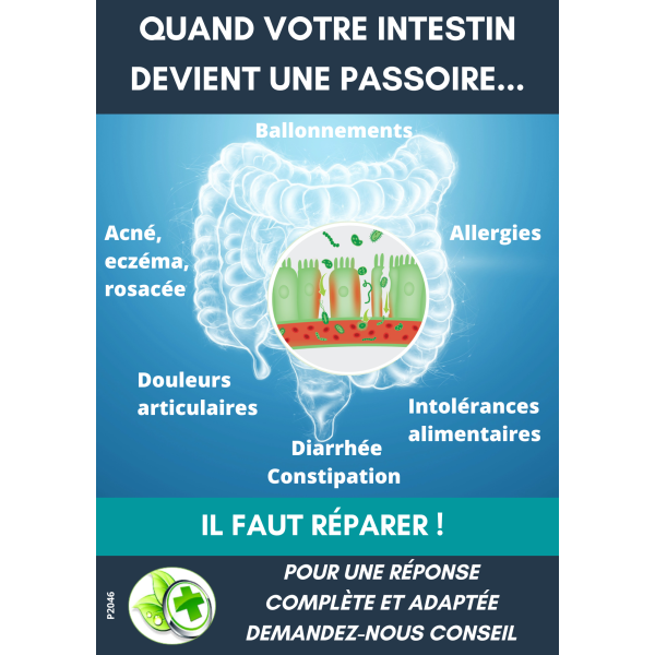 AFFICHE COMPTOIR INTESTINOV(x5)