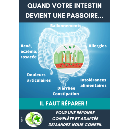 AFFICHE COMPTOIR INTESTINOV (x1)